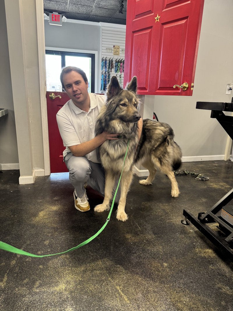 Lake Norman Grooming Academy instructor with a dog in the salon